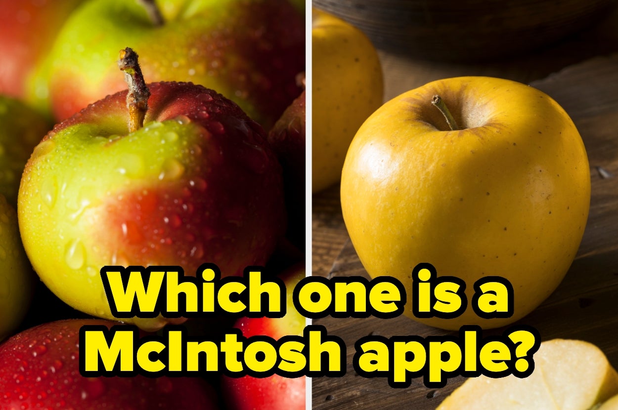 Close-up of red and yellow apples with text asking which apple is a McIntosh