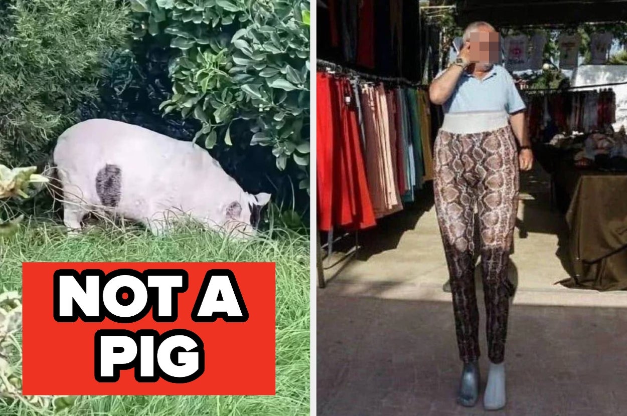 13 Pictures That Shattered My Sanity And Left Me In A Puddle Of Confusion
