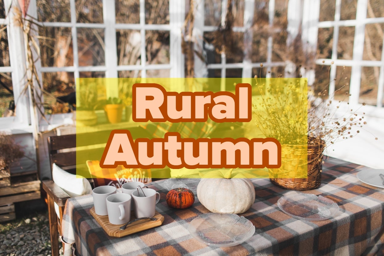 Table with rustic decor, including ceramic mugs, small pumpkins, and dried flowers, in a sunlit room. Overlaid text reads "Rural Autumn."