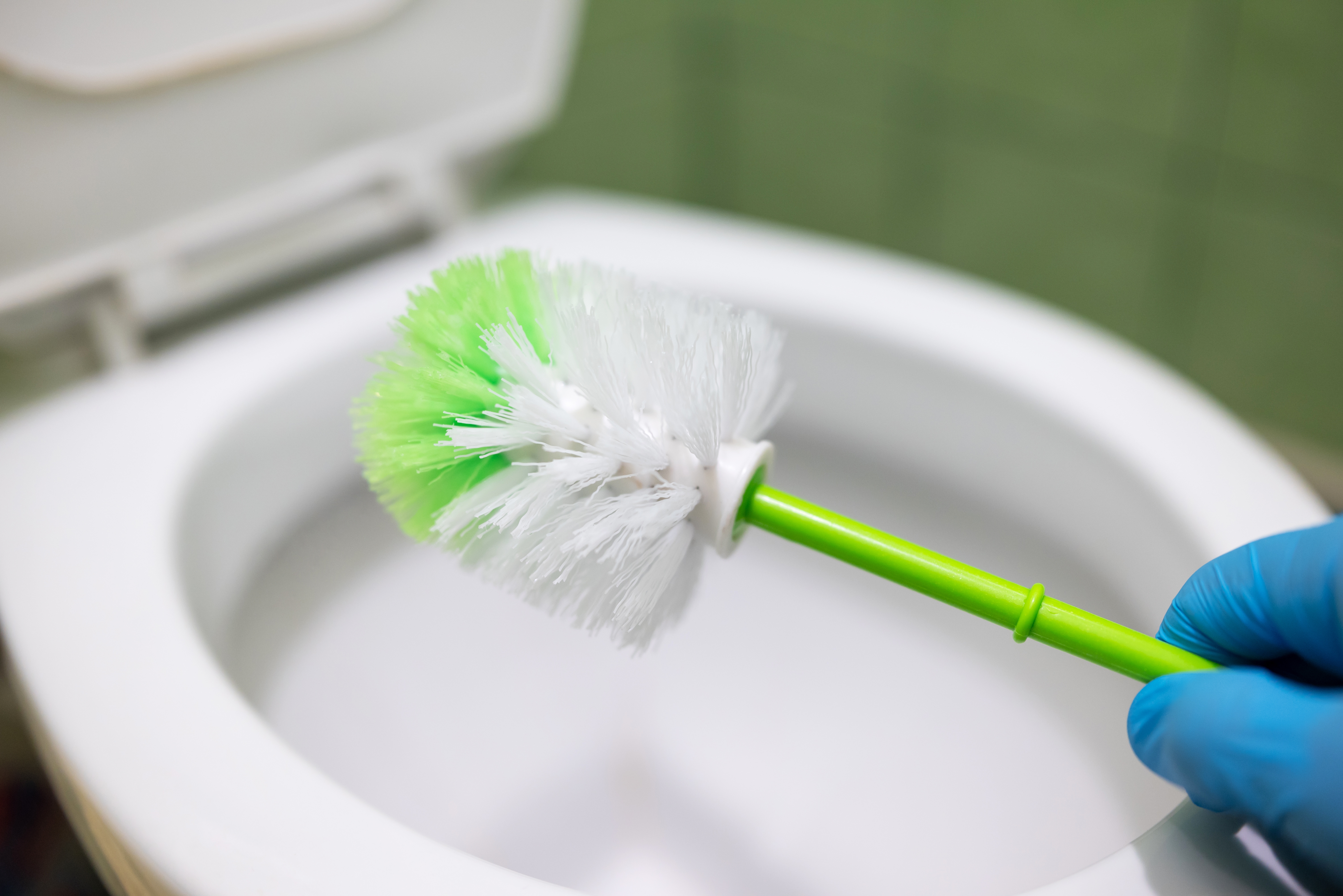 Toalettbørste med hvite og grønne buster holdt over et åpent toalett av en hansk hånd, noe som antyder rengjøring eller hygienevedlikehold