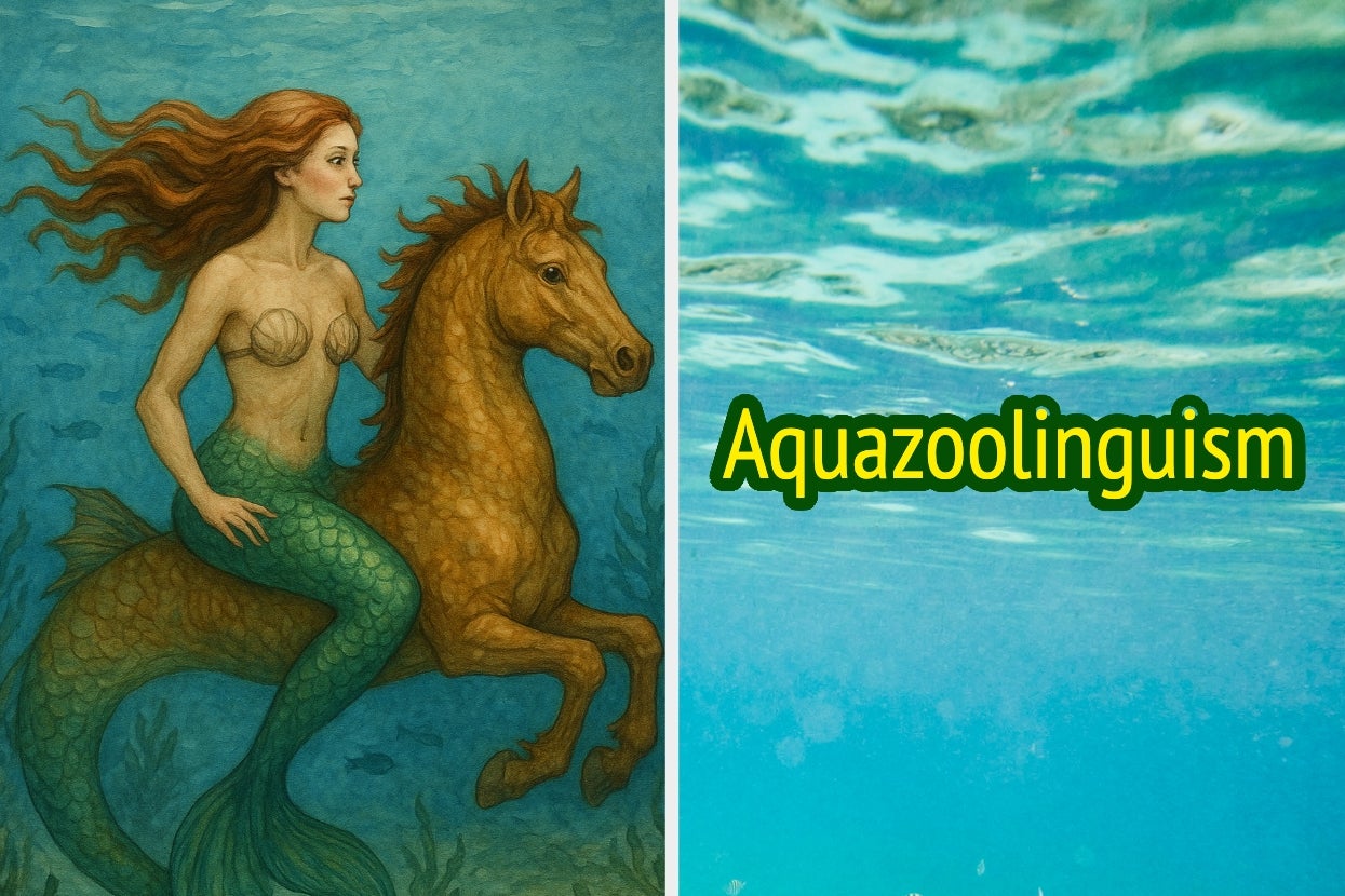 A mermaid rides a sea horse underwater; the word "Aquazoolingusim" is displayed on the right side