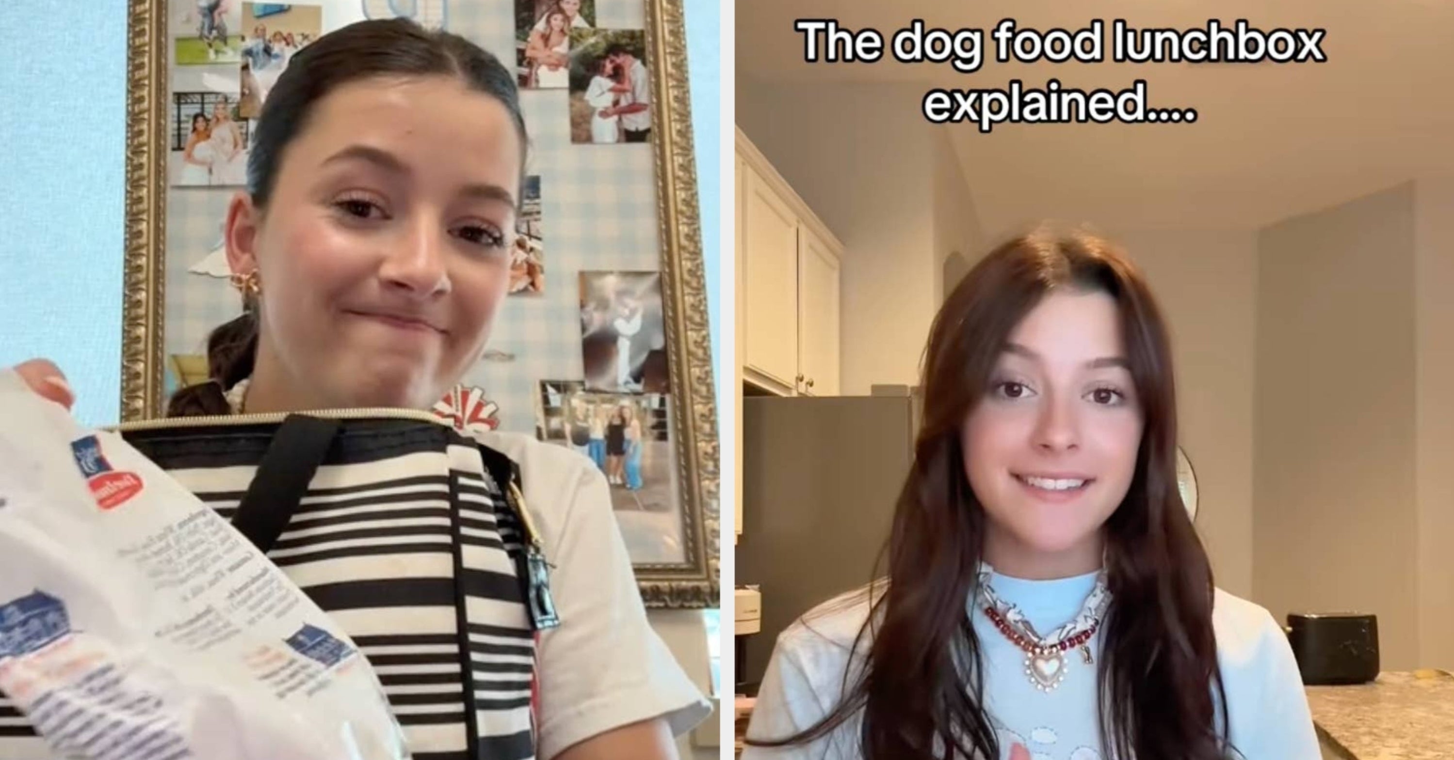 This Woman’s Husband Packed Her Dog Food For Lunch, And TikTok Is In Shambles