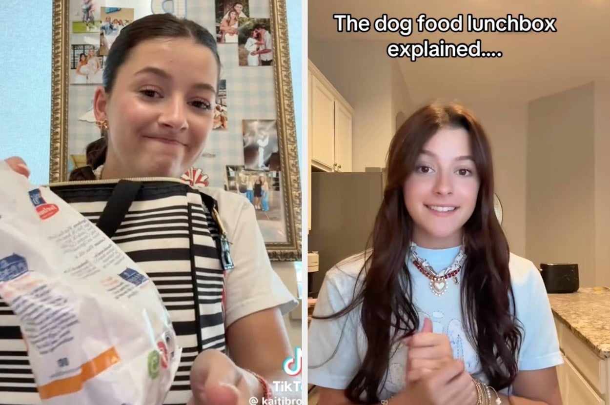 Person holding a bag, then explaining "The dog food lunchbox explained" next to a kitchen