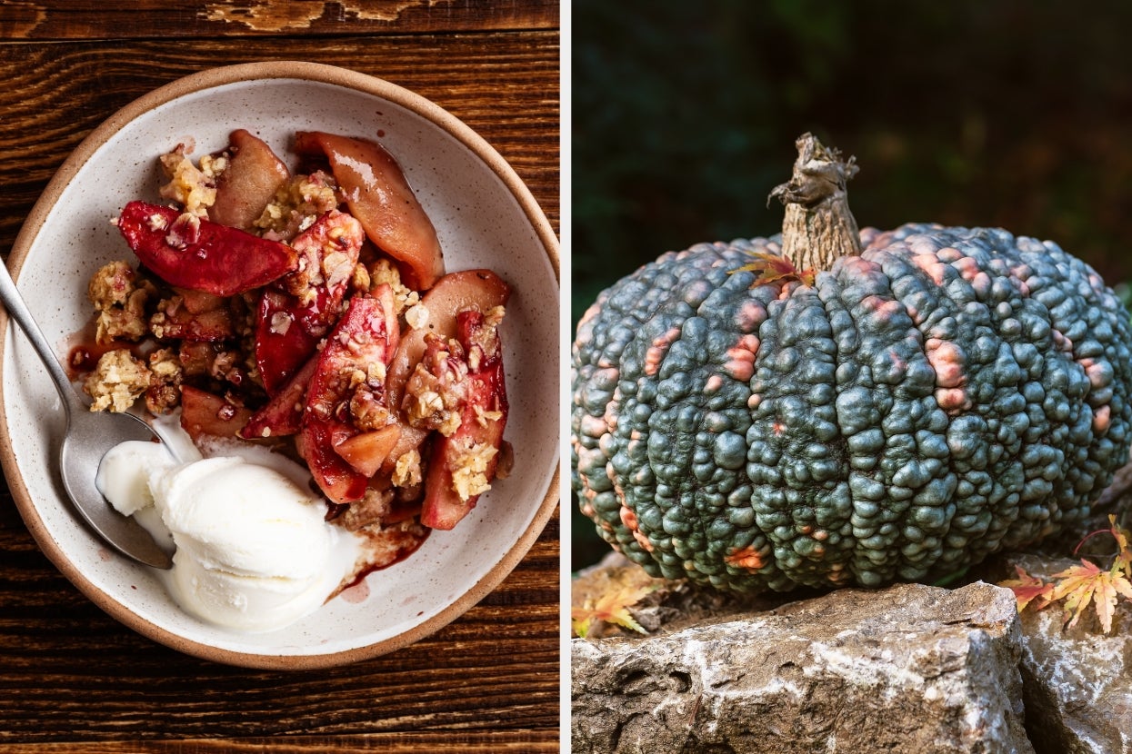 A bowl of apple crumble with ice cream on the left; a bumpy, textured pumpkin on a rock on the right