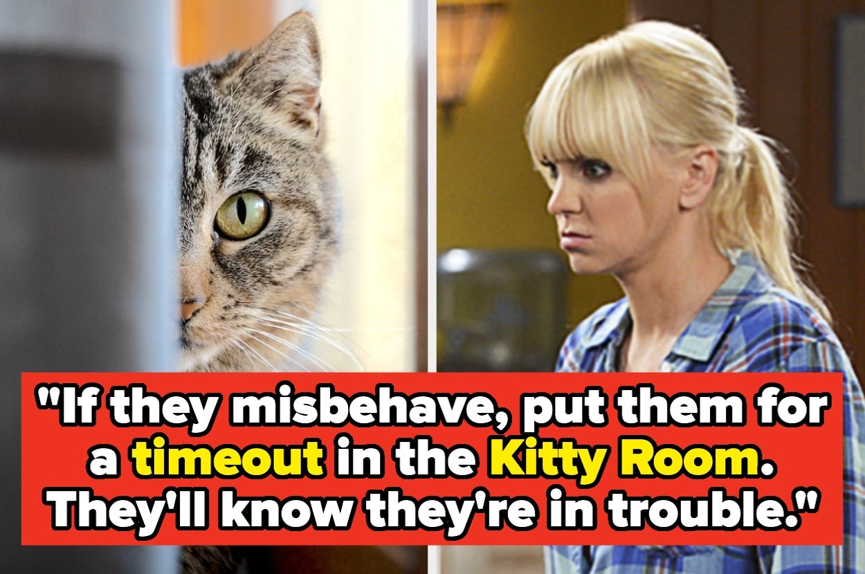 Cat peering around corner next to a concerned woman in a plaid shirt. Text: "If they misbehave, put them for a timeout in the Kitty Room."