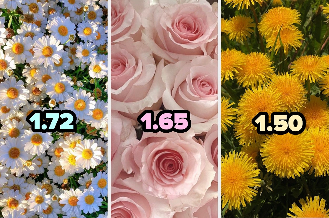 Imagen dividida en tres secciones con flores diferentes: margaritas, rosas y dientes de león, cada una con un número superpuesto (1.72, 1.65, 1.50)