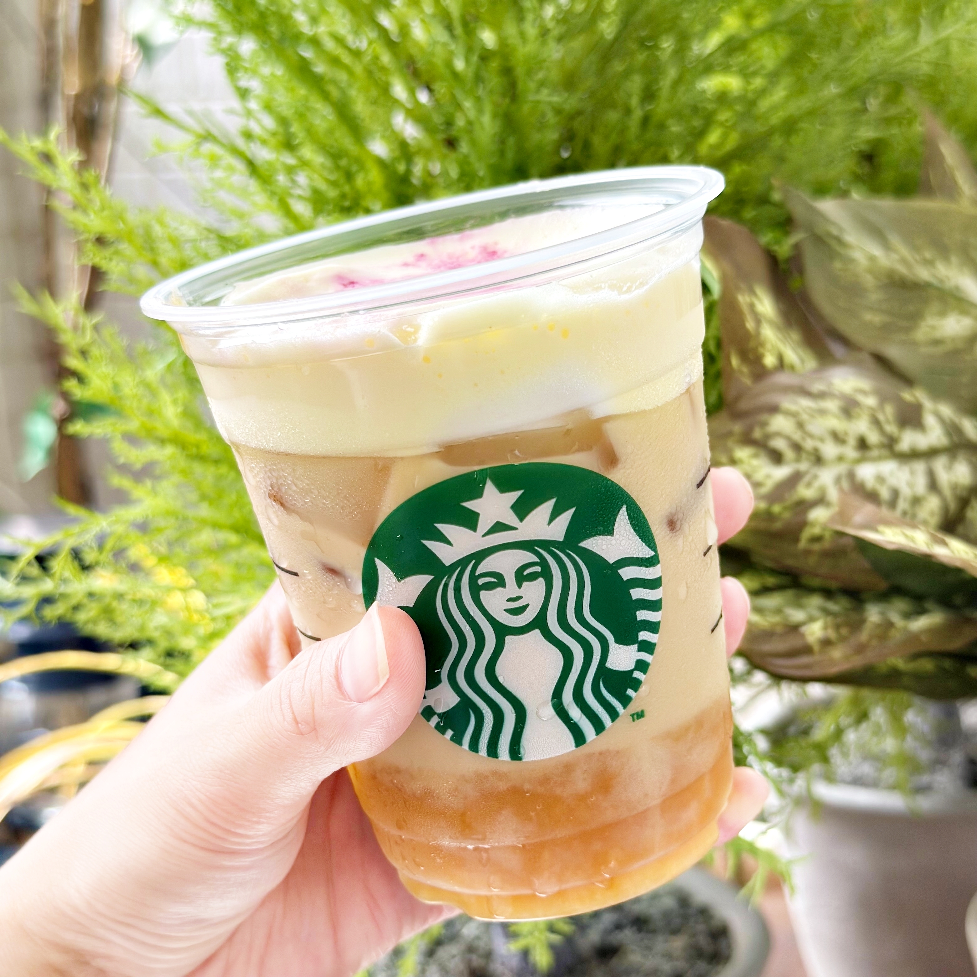 スタバ「ほうじ茶香る 焼き芋 ムース ティー ラテ」