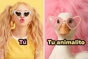 Person with heart-shaped sunglasses; playful comparison with duck wearing pink heart sunglasses, labeled "Your pet."
