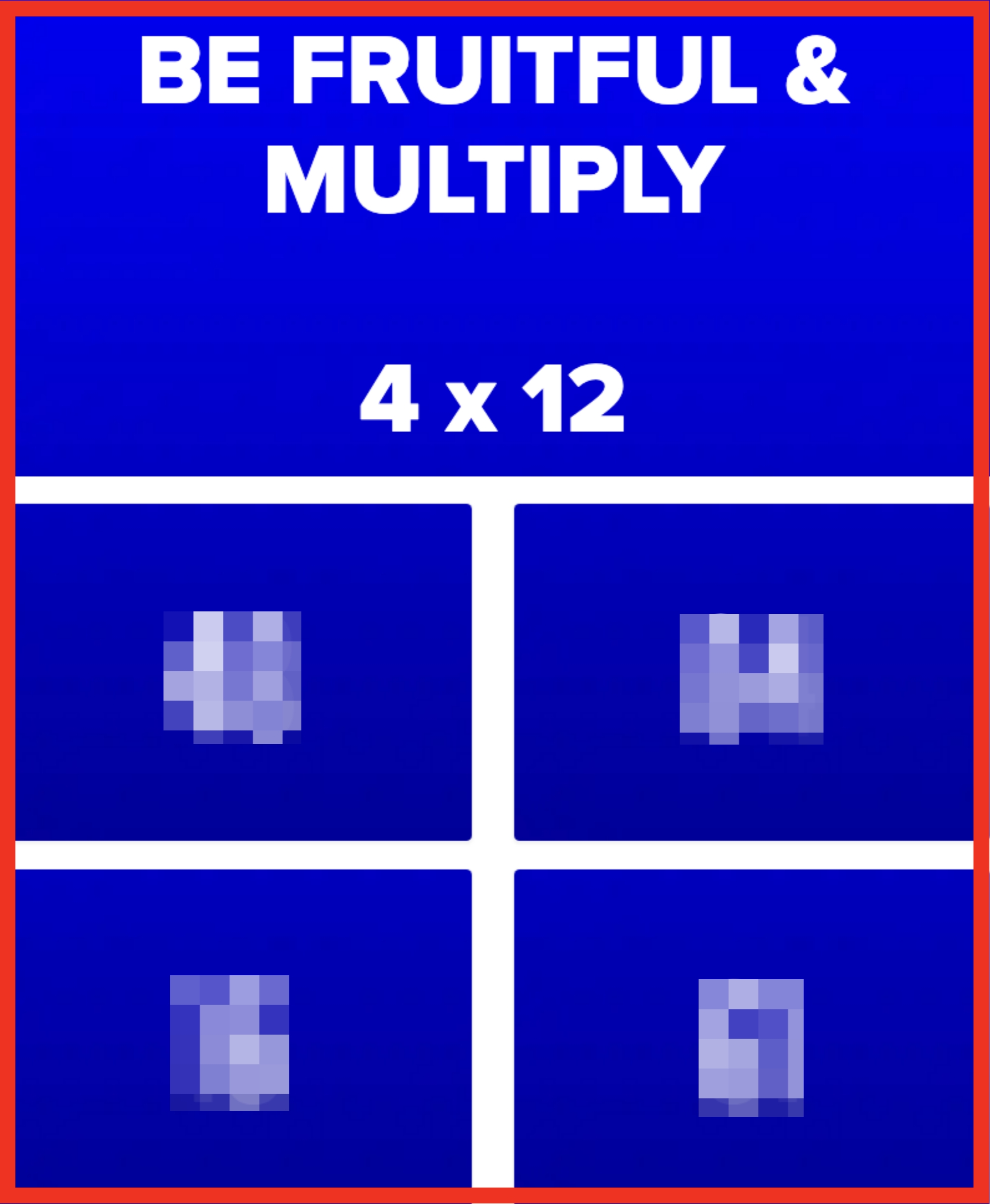 Text: "BE FRUITFUL & MULTIPLY 4 x 12" with number options: 48, 84, 16, 61