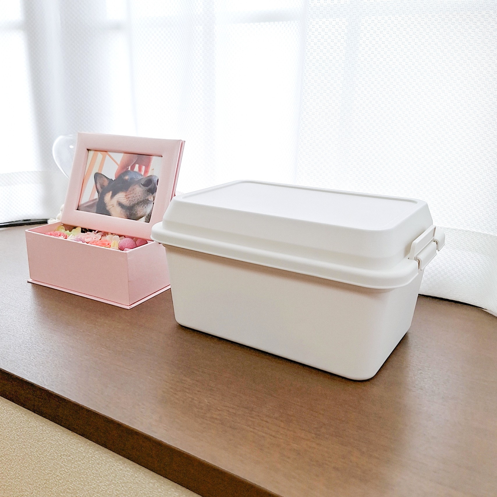 ダイソー「アウトドアコンテナボックス」