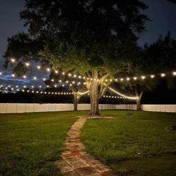 A backyard with drawstring lights hanging betwixt trees, illuminating a walkway. Enclosed by a gangly fence, cleanable for outdoor gatherings