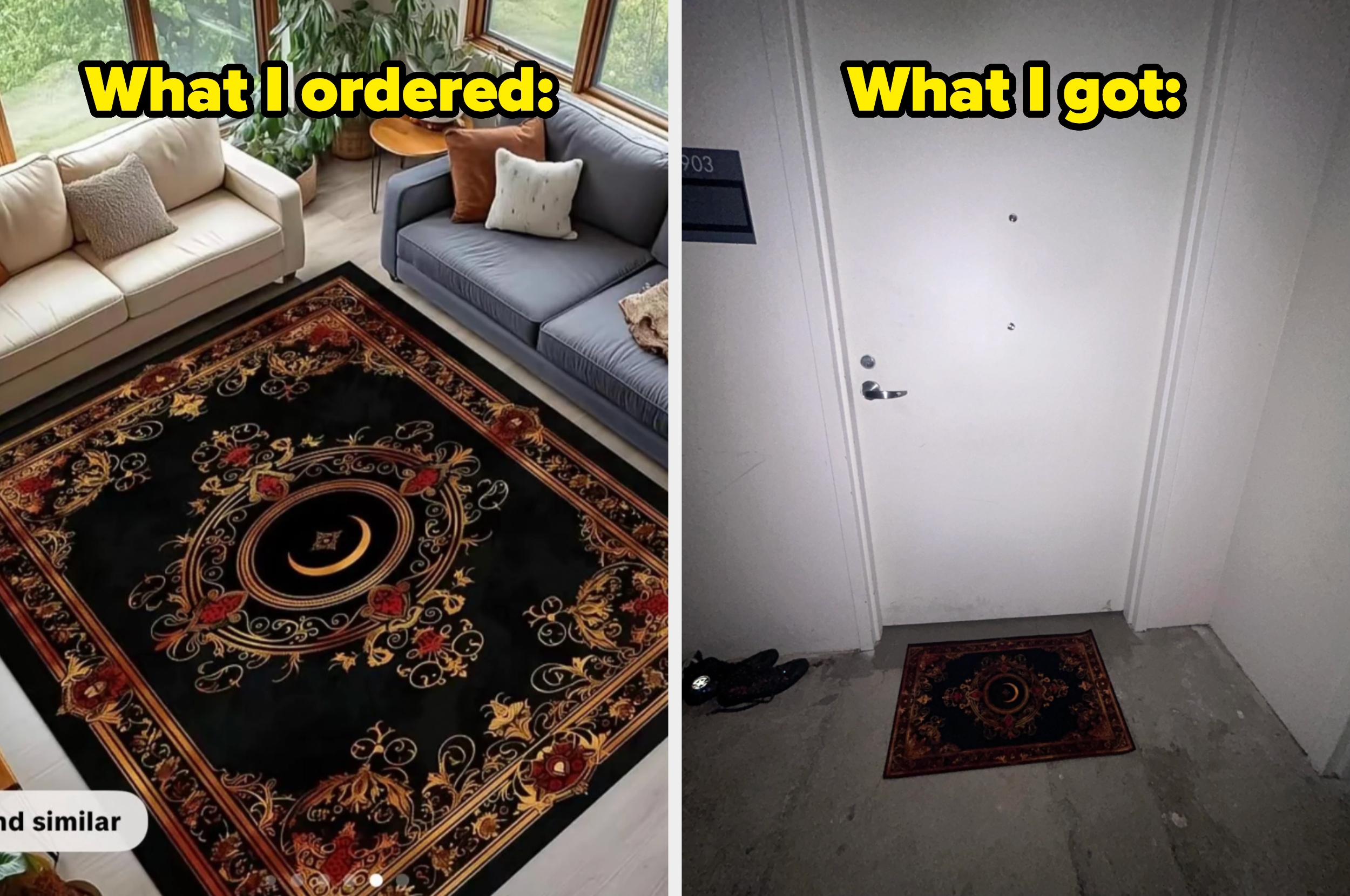 Split image: Left shows a large ornate rug in a living room; right shows a small similar rug at a doorway labeled "What I got"