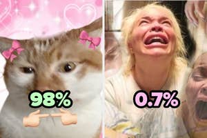 Montaje de dos imágenes. Izquierda: gato con porcentaje "98%". Derecha: persona llorando con porcentaje "0.7%"