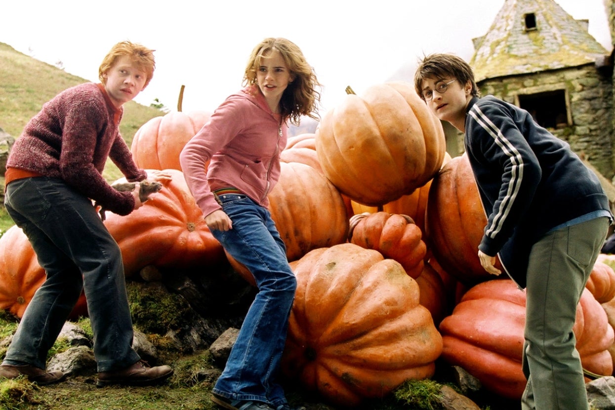 Ron, Hermione, and Harry look over their shoulders in front of pumpkins