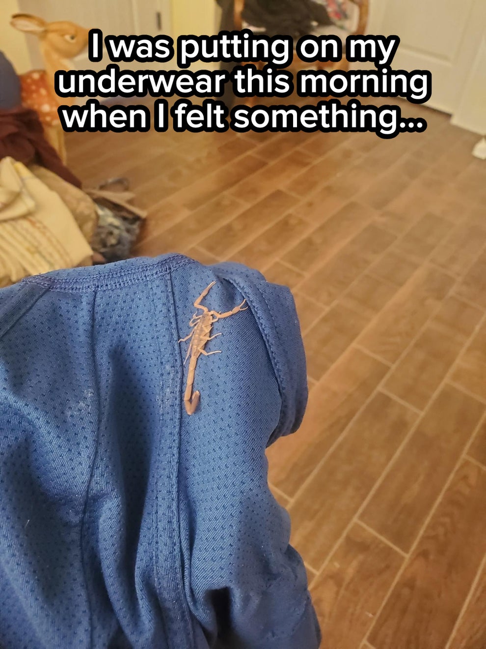 Post image 34