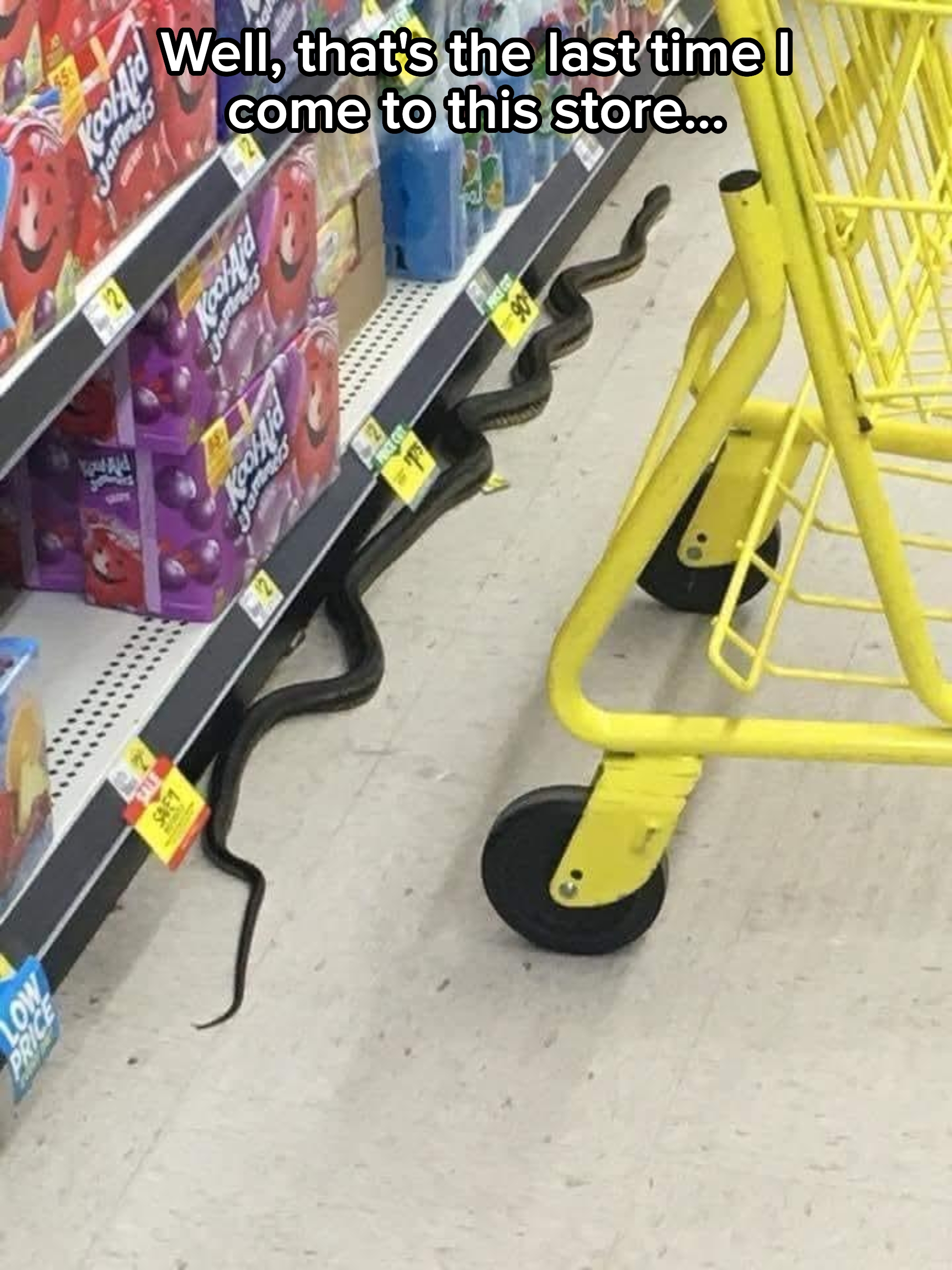 A snake slithers out from a shelf in a grocery store aisle, winding around a shopping cart wheel