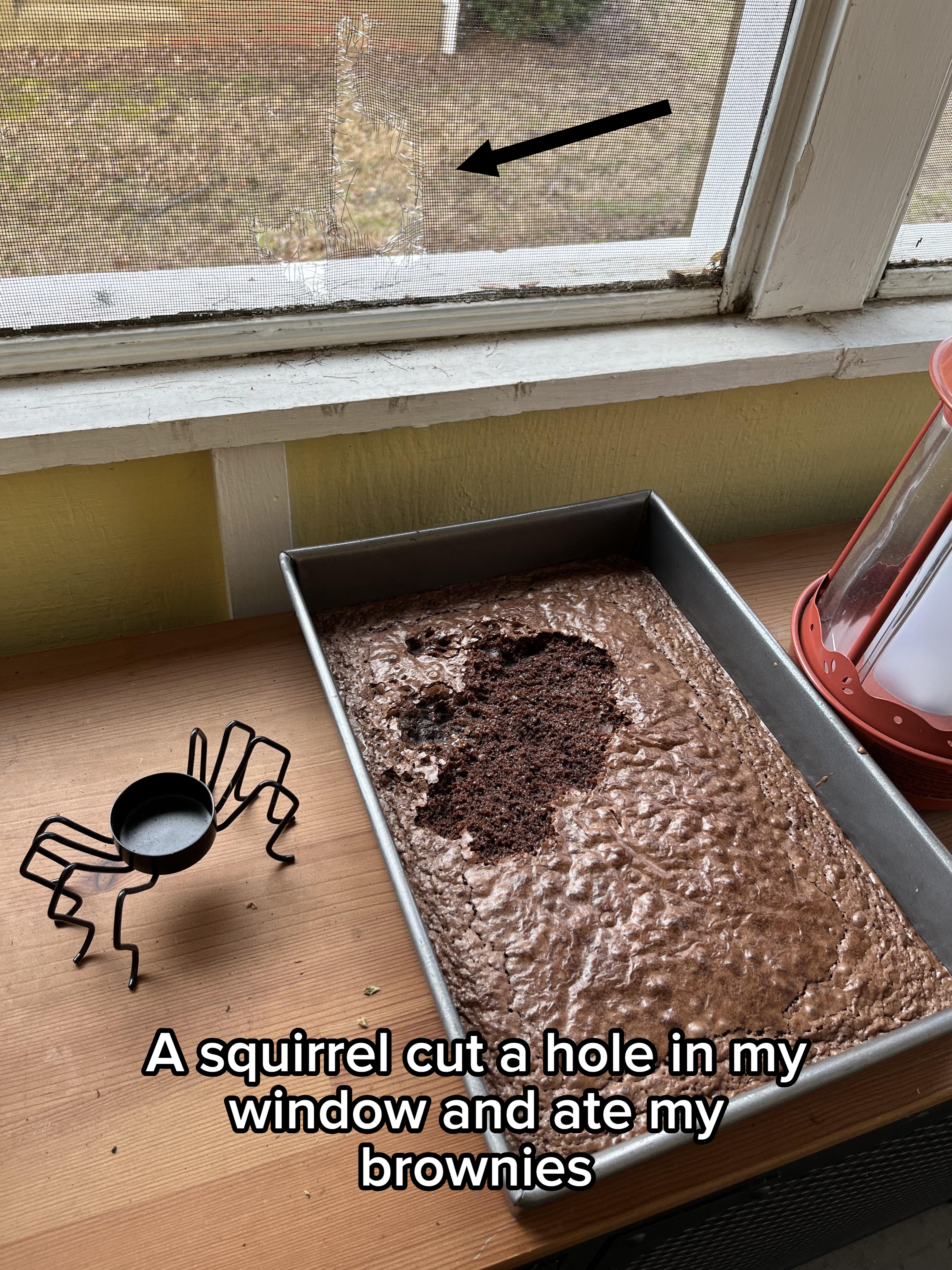 Brownie cake in a pan with a section missing. Spider-shaped candle holder nearby on a wooden surface by a window