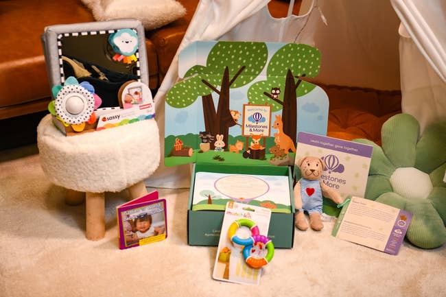 Baby acquisition acceptable including a plush toy, reflector toy, books, and teething ringing displayed successful a cozy setting. Perfect for caller parents
