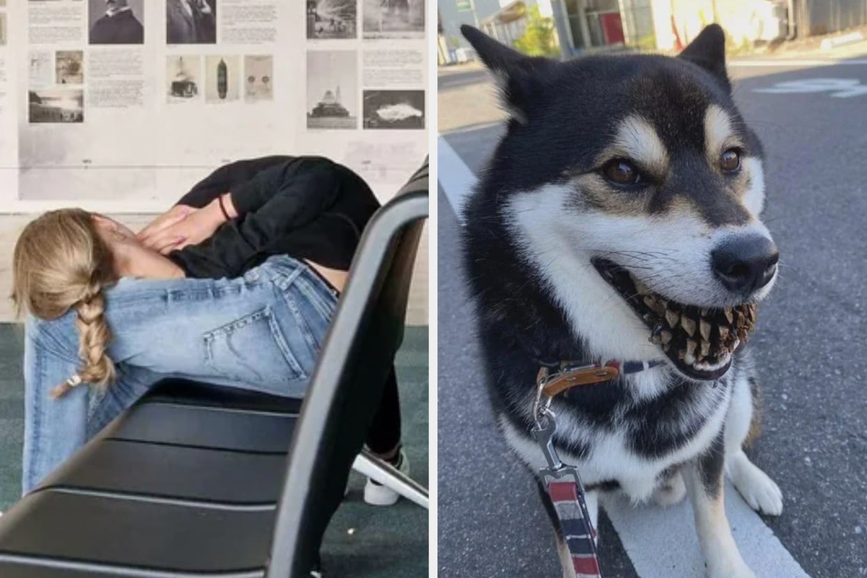 Left: Person in casual outfit asleep on chair. Right: Dog outdoors with a pine cone in its mouth, appearing to smile