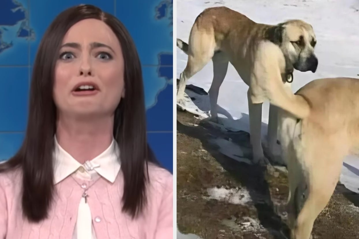 Two-part image: Left shows a person in a white blouse and pink sweater looking surprised; right shows one dog with another behind it