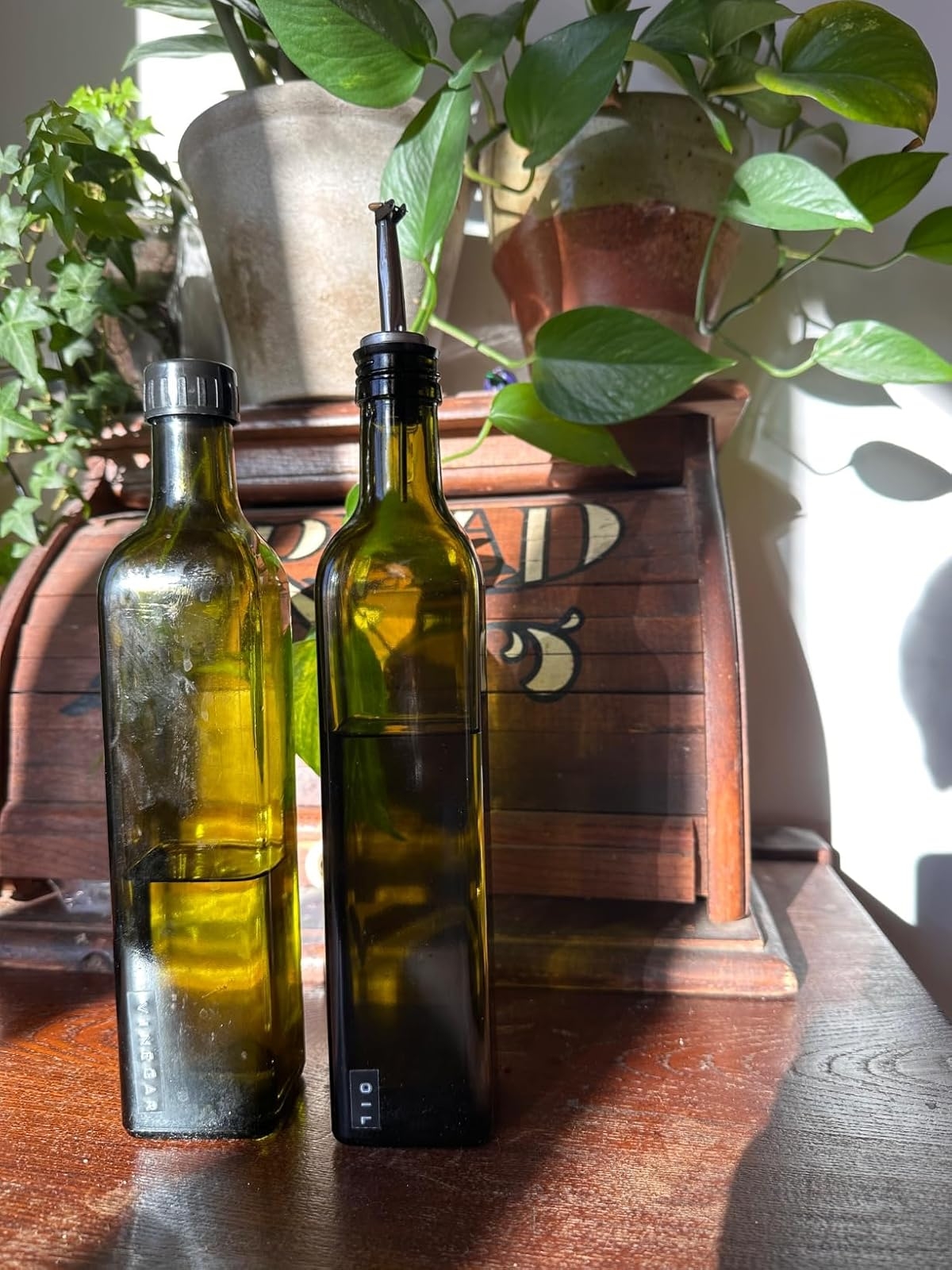 Two olive oil bottles on a wooden counter with potted plants in the background