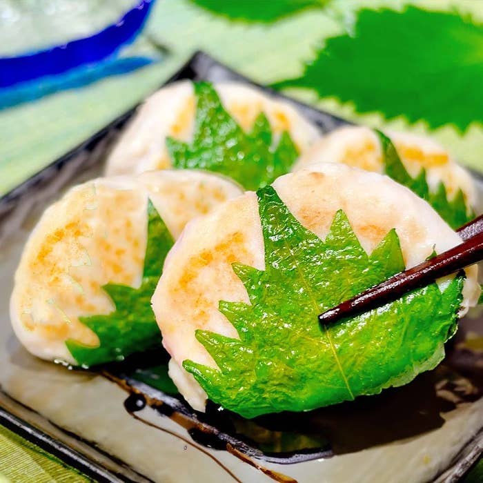 シソの葉で飾られた餃子が皿に盛られ、箸で持ち上げられています。