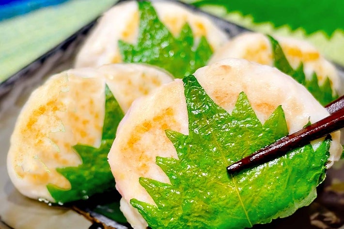 和風の皿に盛られた葉で包まれた焼き餃子が箸で持ち上げられている。おいしそうに見える料理のクローズアップ。
