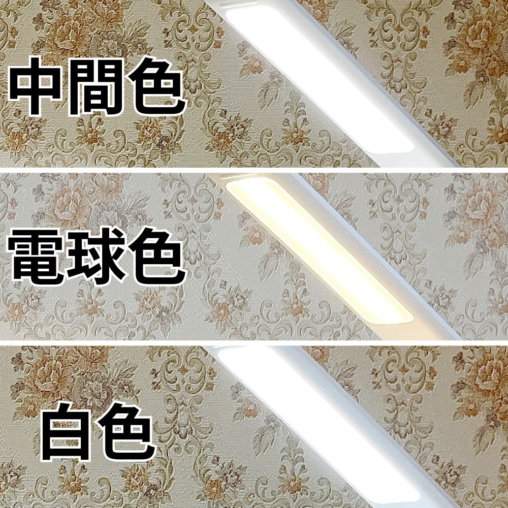 ニトリ】「軽くて持ち運びもラク」「買ってよかった」レビュー絶賛の
