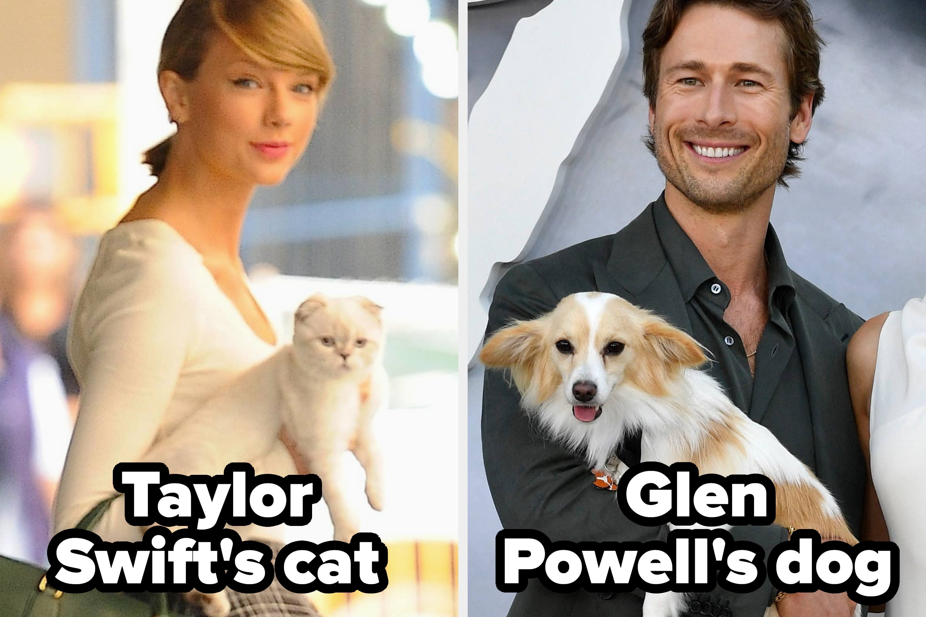 Image comparison of a woman holding a cat and a man holding a dog with text labels