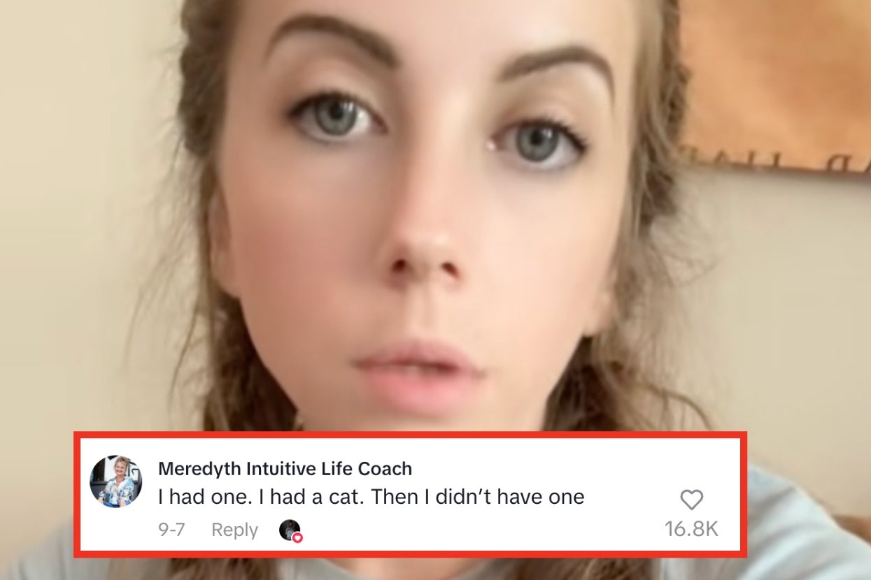 A person with long hair, gazing at the camera. A comment reads: "I had one. I had a cat. Then I didn’t have one," with 16.8K likes