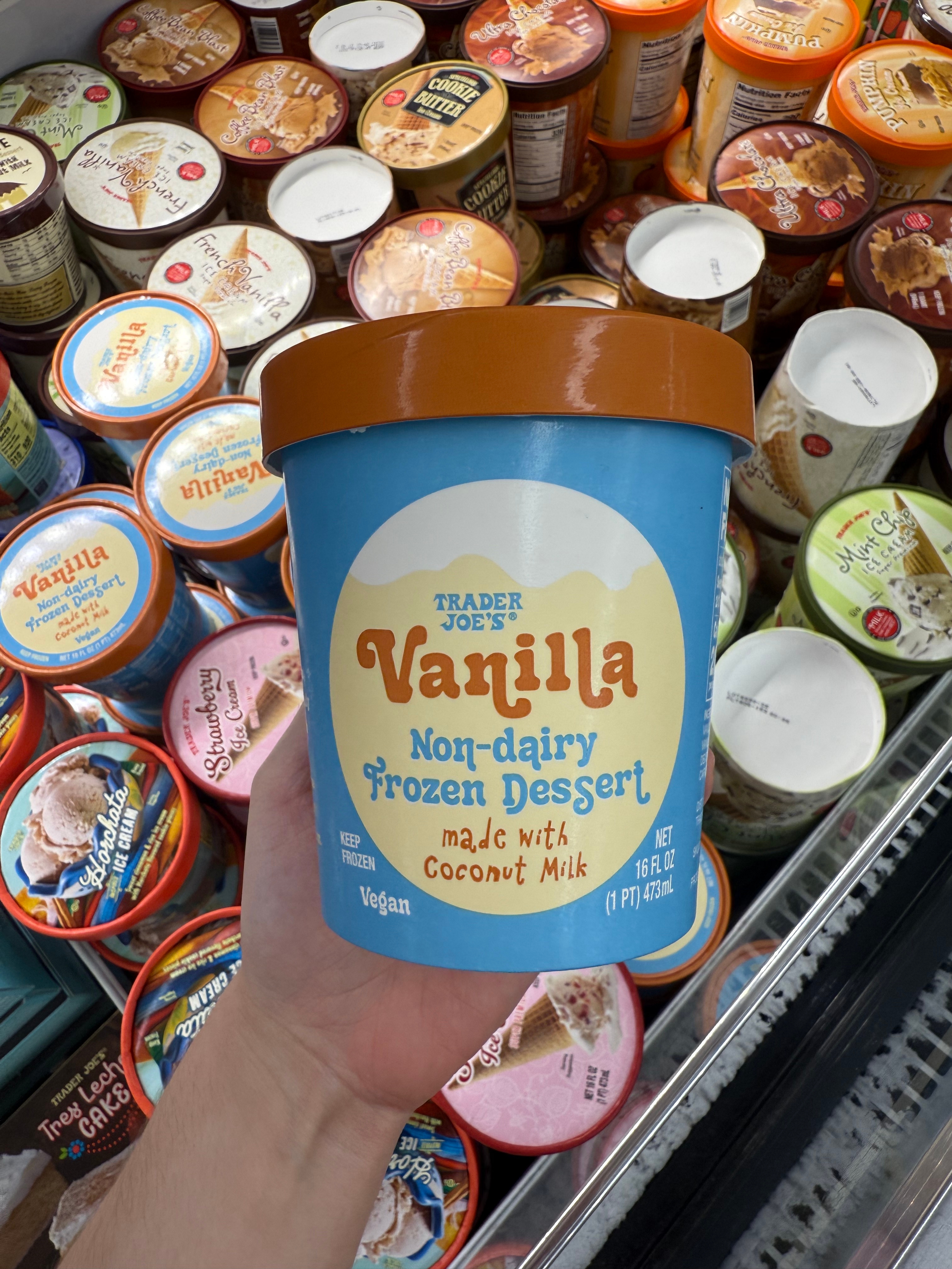 A hand holding a pint of Trader Joe's Vanilla Non-Dairy Frozen Dessert in a grocery store freezer aisle