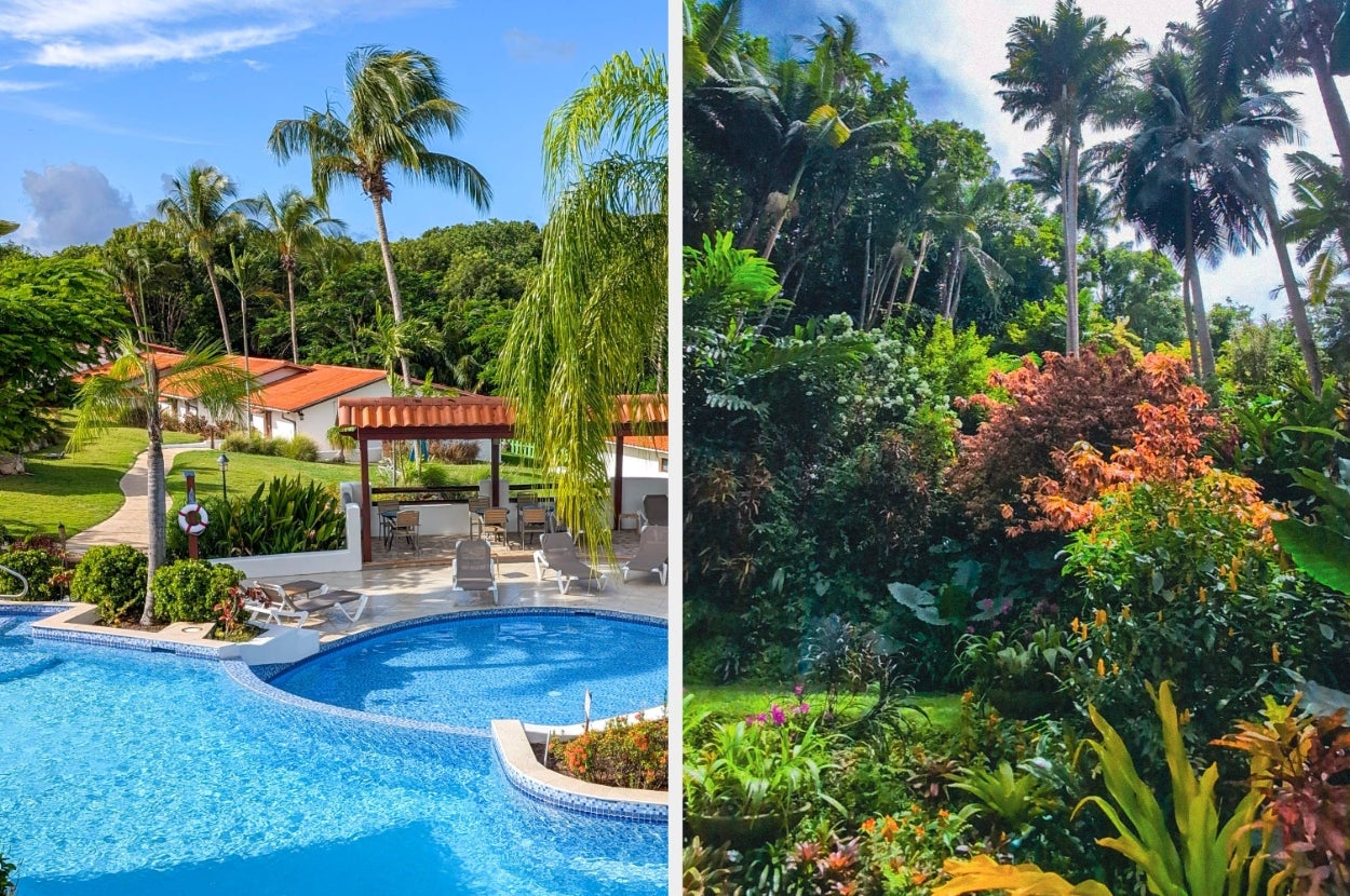 Split image: Left, a luxurious poolside resort scene; Right, a lush tropical garden with vibrant foliage