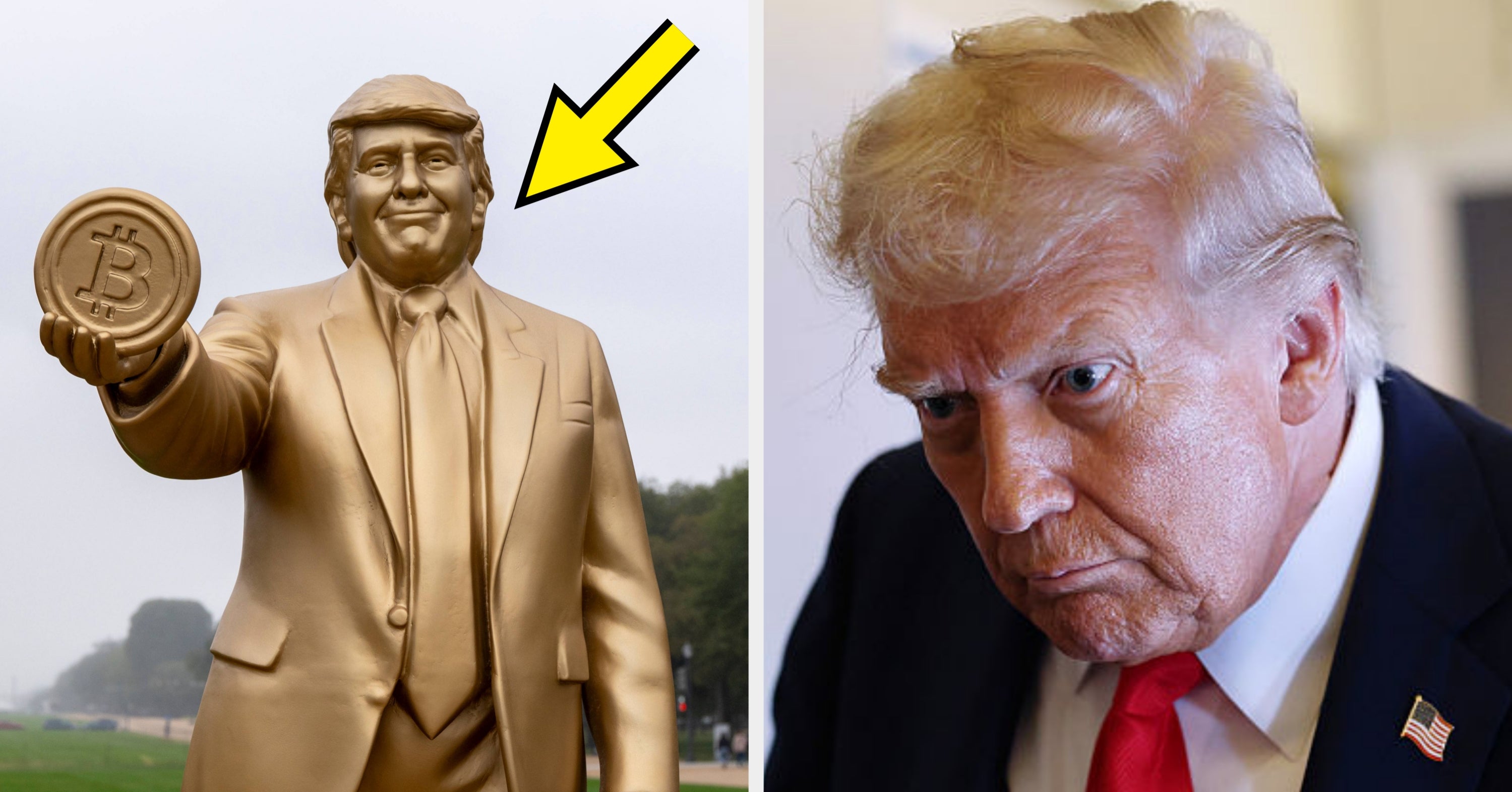 Trump’s Golden Statue In Washington D.C. Is Going Viral