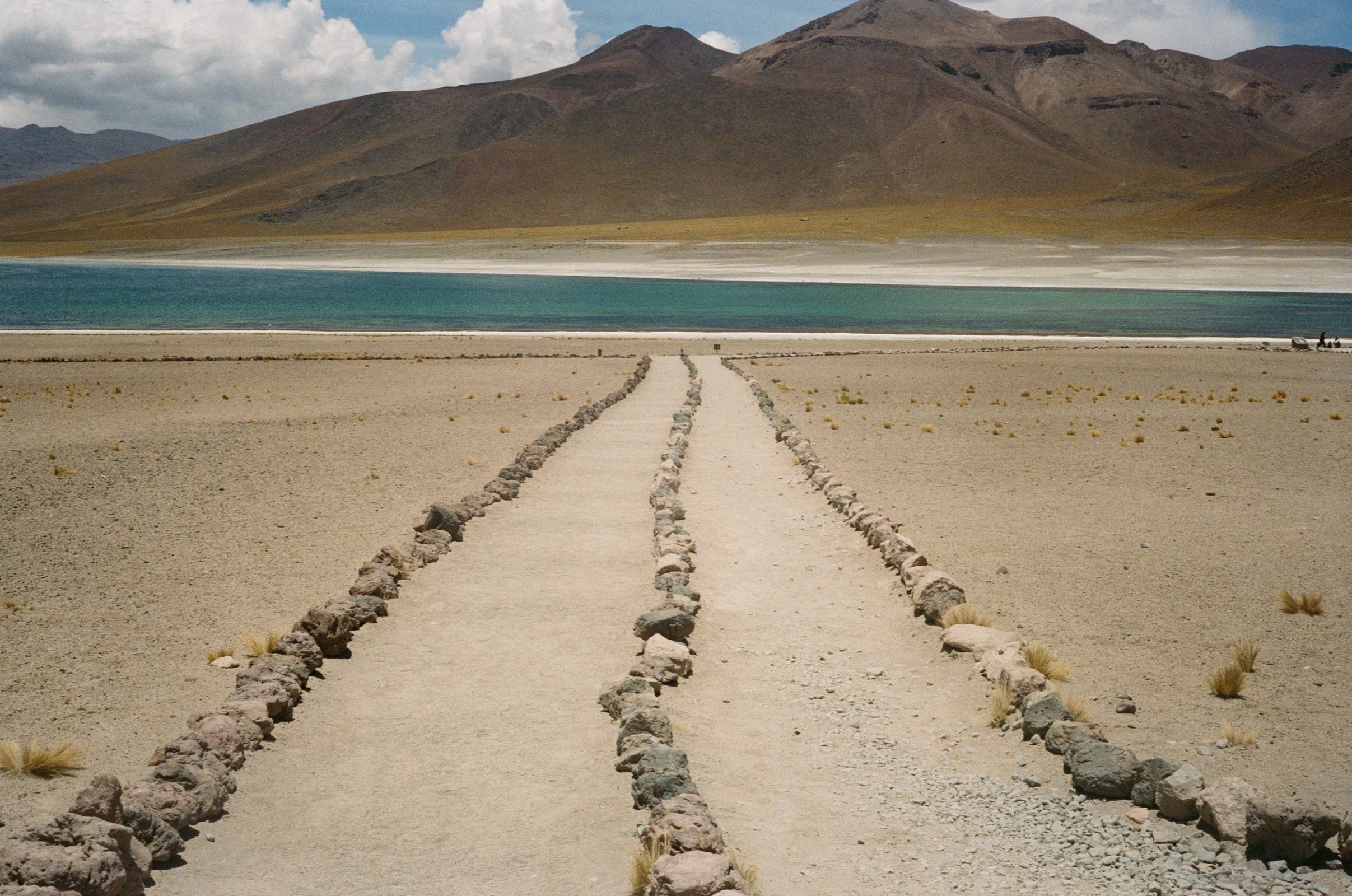 49 Unexpected Things I Found In The Driest Place On Earth