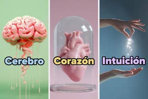 Illustration of a brain, heart in a jar, and a hand catching light sparks labeled "Cerebro," "Corazón," and "Intuición."