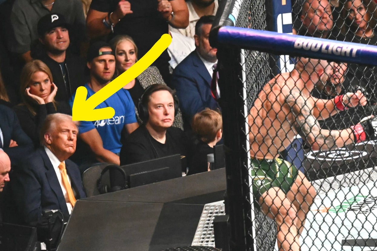 Two men sit ringside during a mixed martial arts event. The man on the left, indicated by an arrow, watches with interest