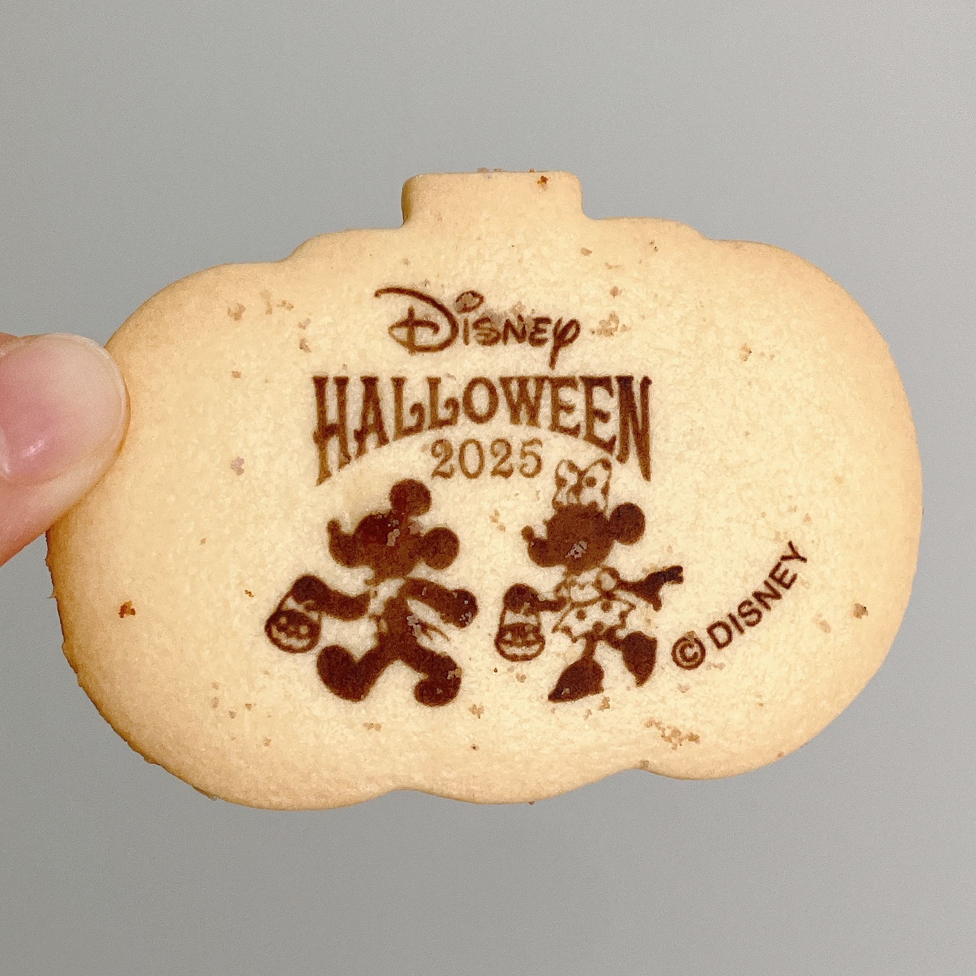 ディズニーランドの「アソーテッド・クッキー缶 ミッキーマウスと仲間たち ディズニー・ハロウィーン」