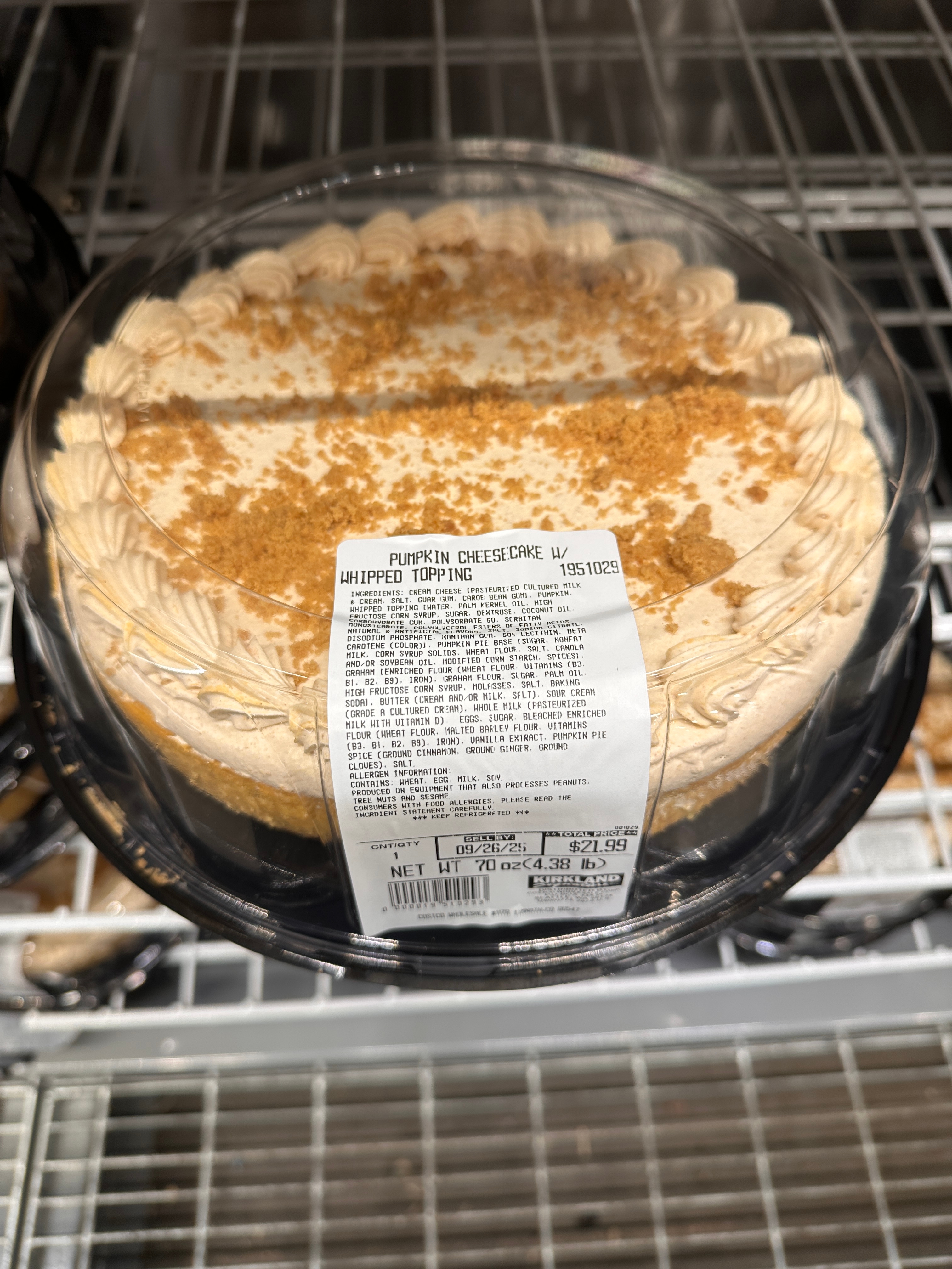 Pumpkin cheesecake with whipped topping and crumb garnish on display in a store container