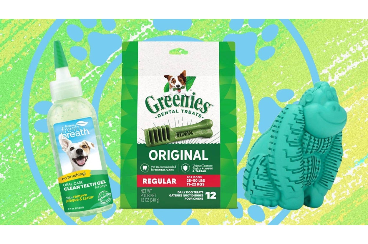 Dental care products for dogs: Fresh Breath gel, Greenies treats, and a dog chew toy, set against a playful background