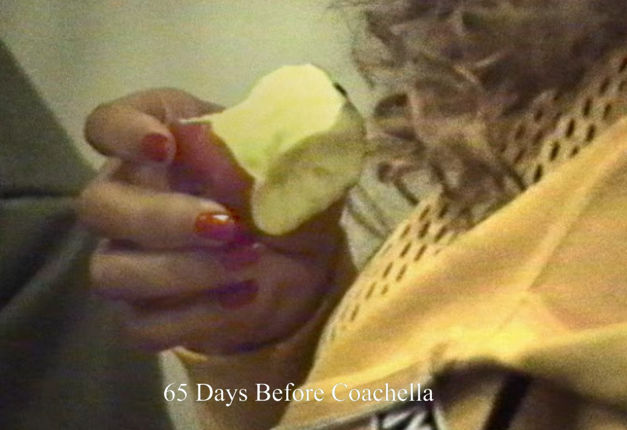 Beyoncé’s Resurfaced Pre-Coachella Diet Sparks Shock