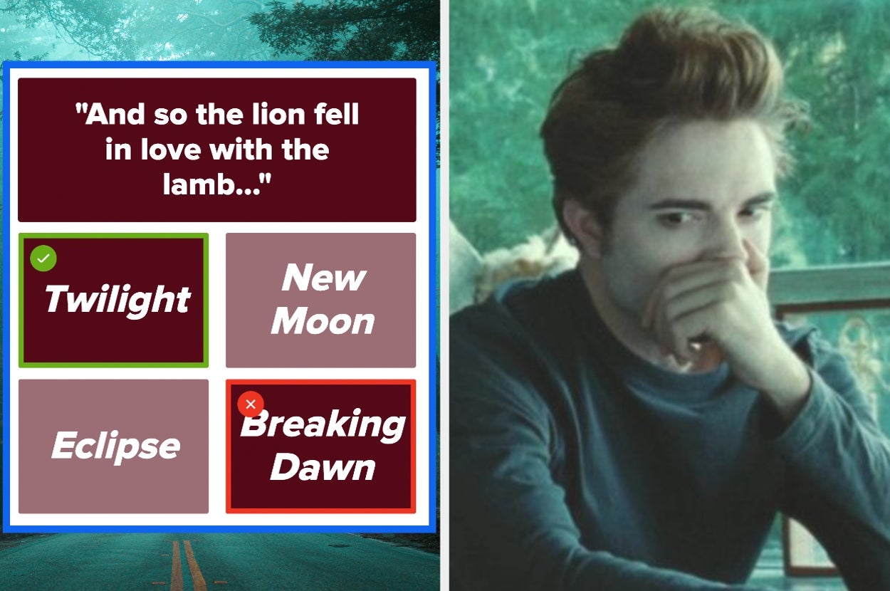 If You Can Match More Than 14/15 "Twilight" Quotes To The Right Book, There's No Way You Were Born After 2000