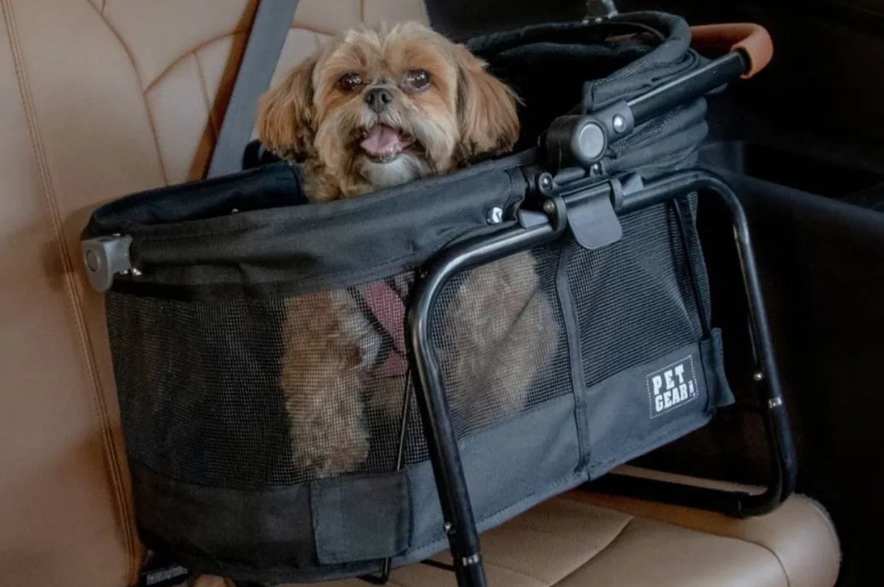 Dog sits comfortably in a Pet Gear carrier secured on a car seat, showcasing travel convenience for pet owners