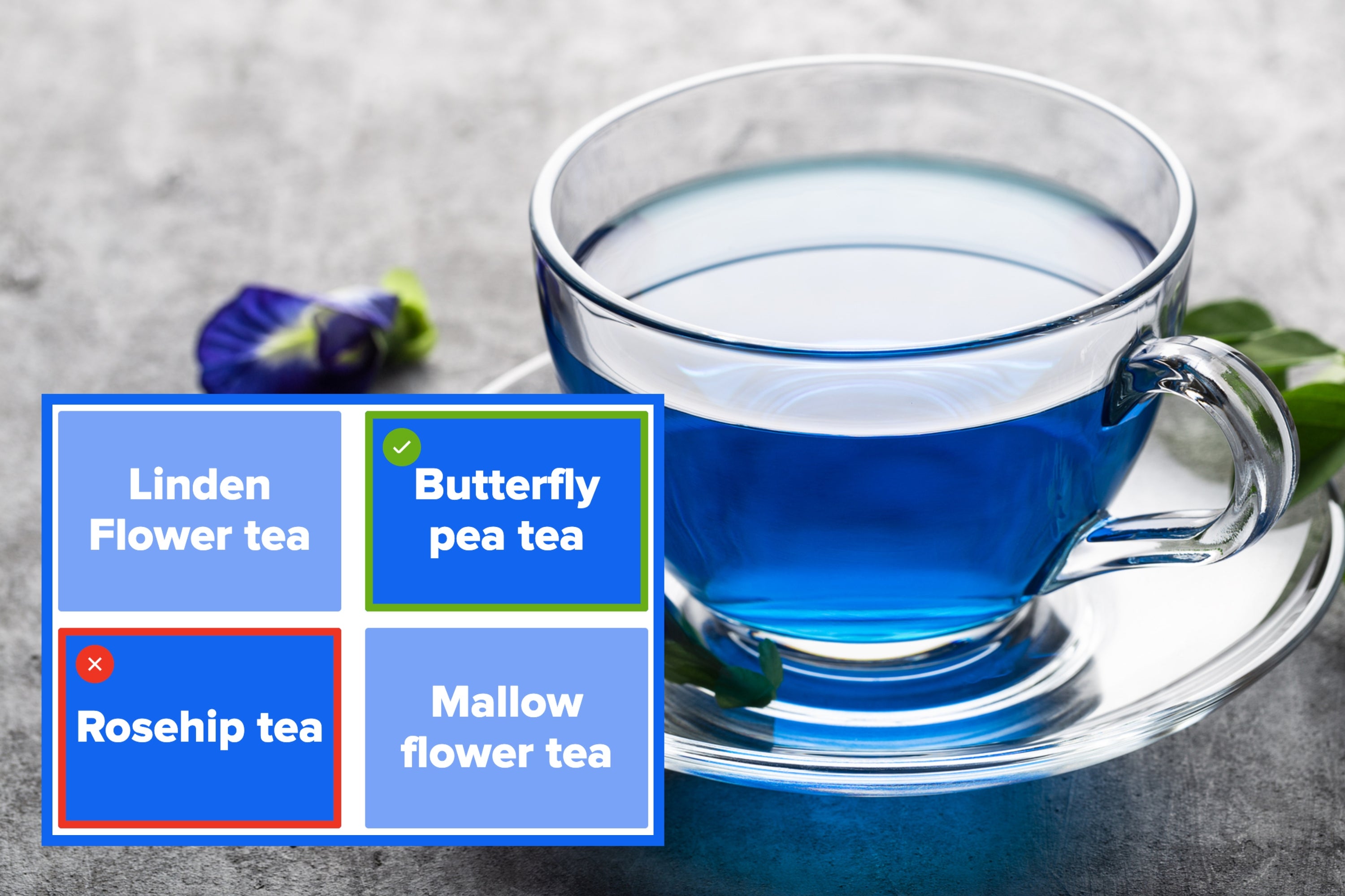 Butterfly pea flower tea in a teapot, glass, and jar, showcasing its vibrant blue hue, placed on a white background