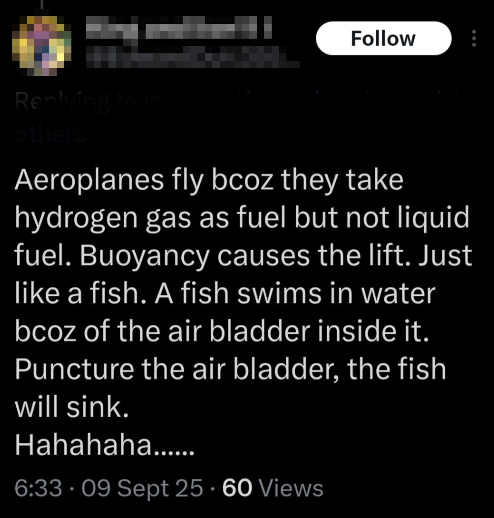 Summary of tweet: Airplanes fly using hydrogen gas, gaining lift through buoyancy, similar to a fish's air bladder. Puncturing it sinks the fish