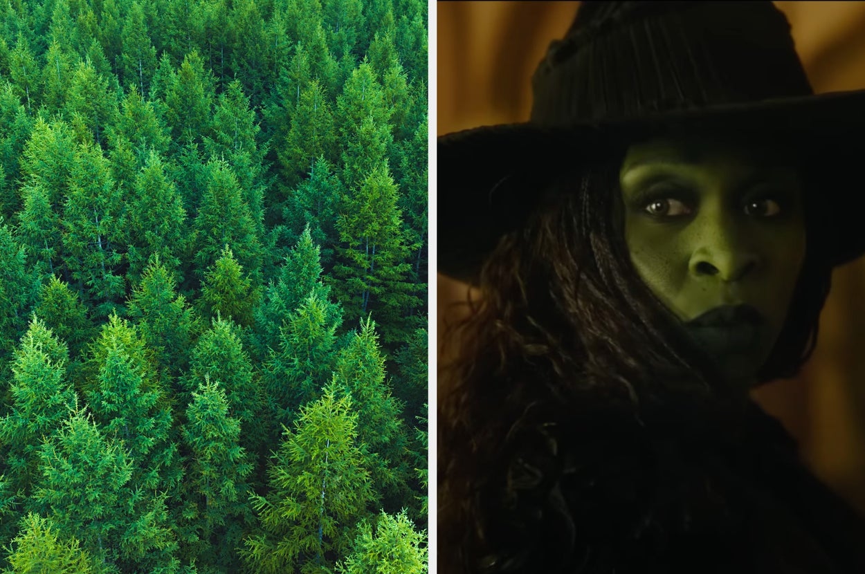 Pick An Image In Each Color And I'll Tell You Which "Wicked" Character You Are