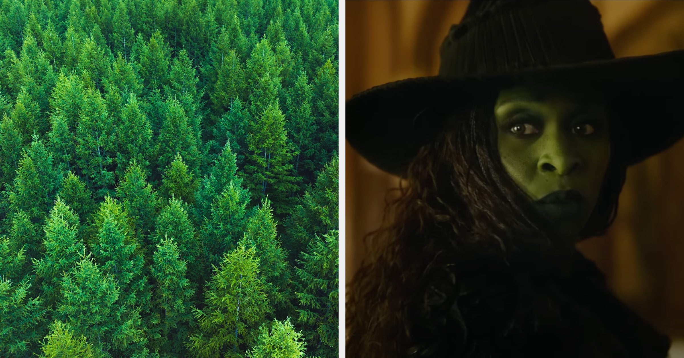 Pick An Image In Each Color And I'll Tell You Which "Wicked" Character You Are