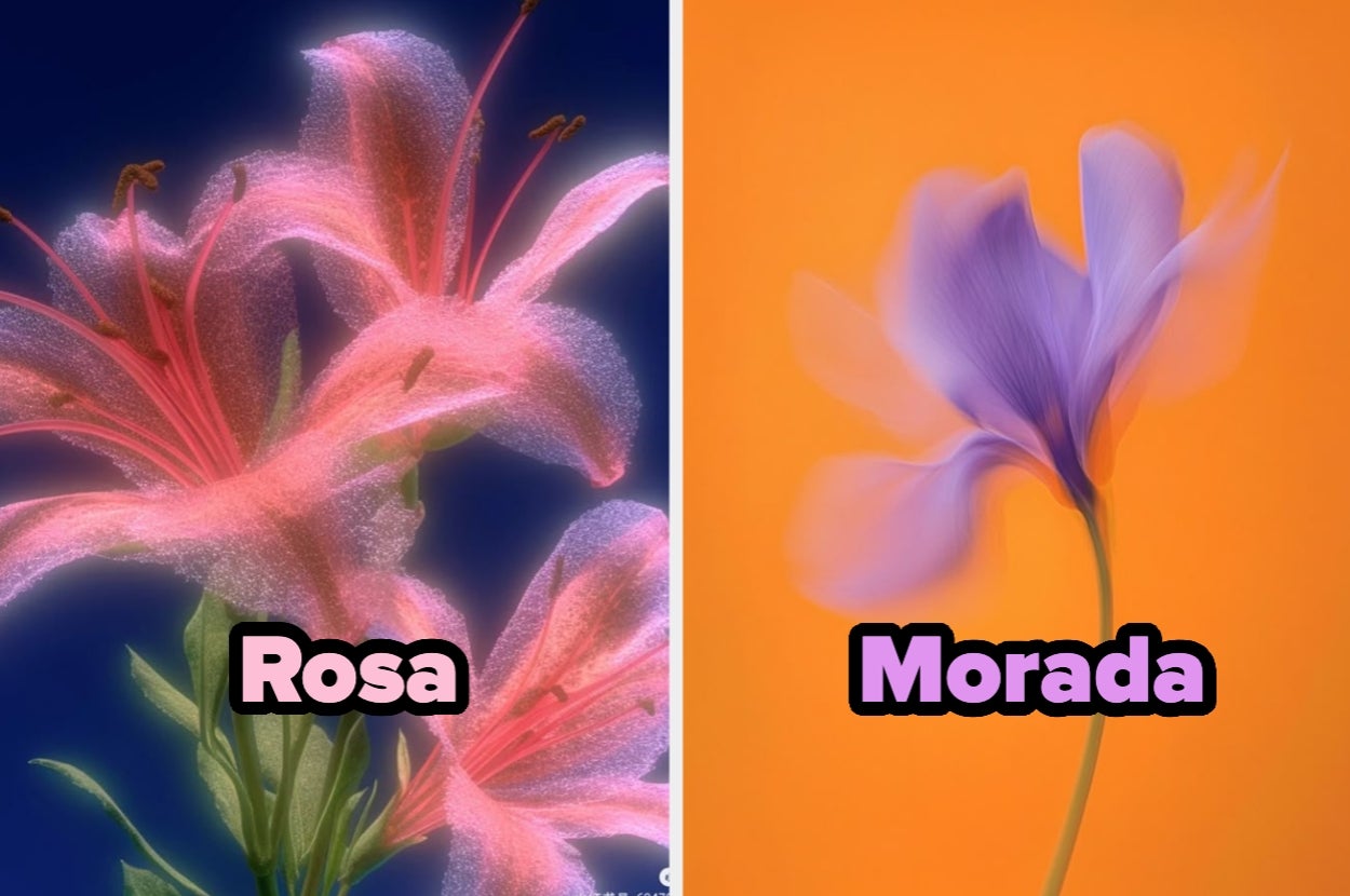 On the left, glowing lilies labeled "Rosa"; on the right, a glowing iris labeled "Morada" against a contrasting background