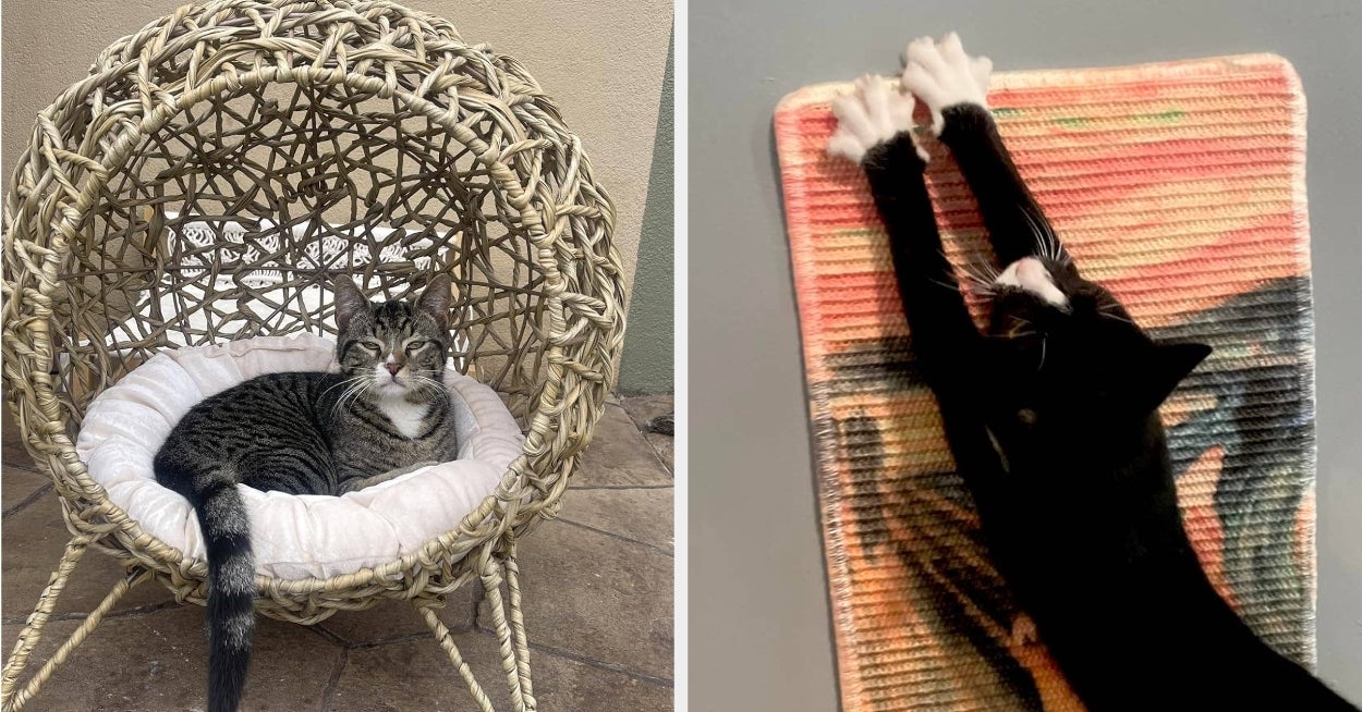Owning A Cat Is Expensive, So Rest Assured These 26 Useful Products Are Worth Every Penny