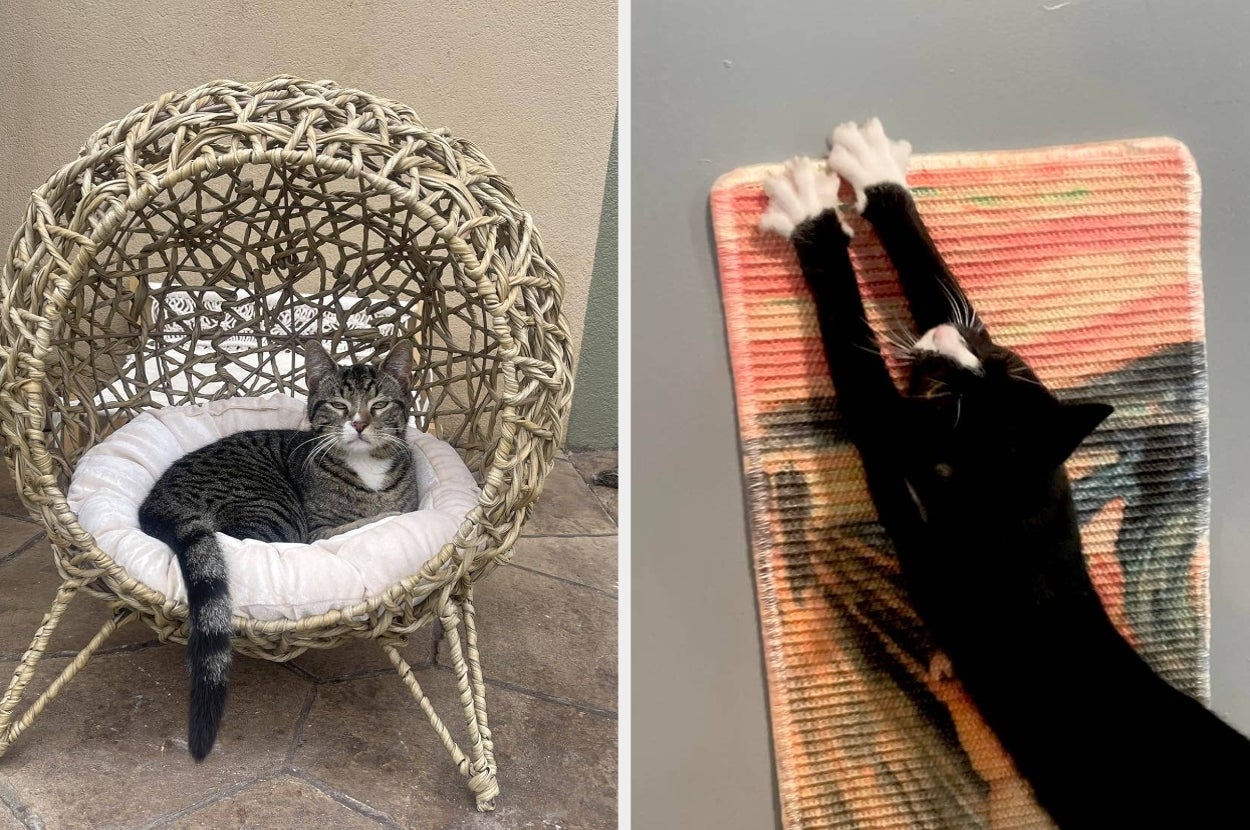 Two cats: one lounges in a wicker pet chair, while the other stretches on a patterned mat. Perfect for pet furniture shopping inspiration