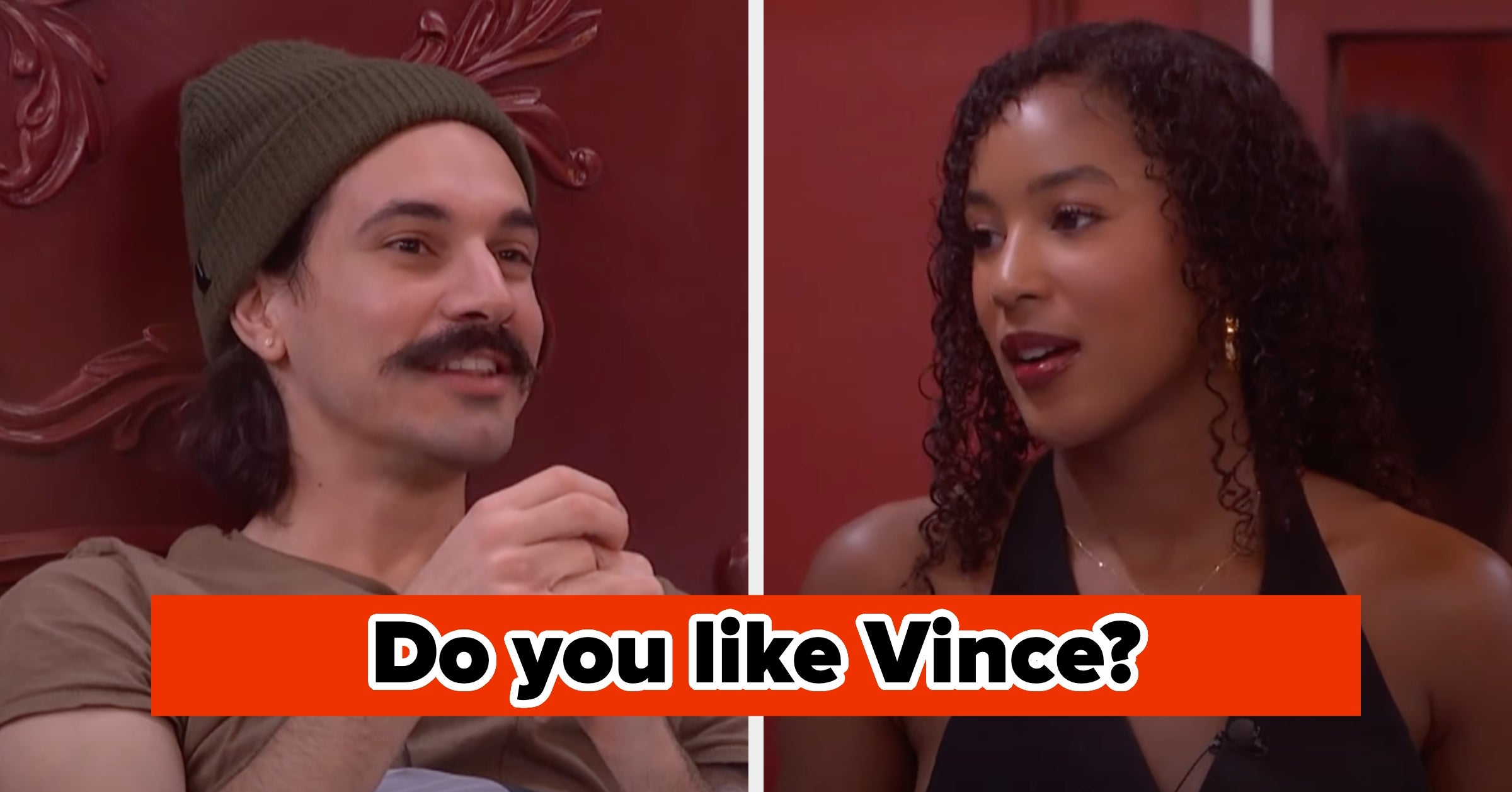 What Is Your Opinion On The "Big Brother" Houseguests?